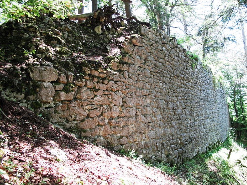 files/tl_filesOPO/Beitraege/opo_Fridingen_Burgstall Stein_Bild.JPG